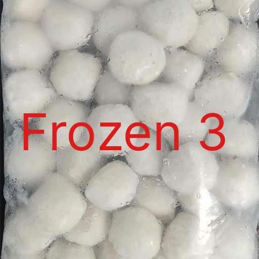 Frozen Food